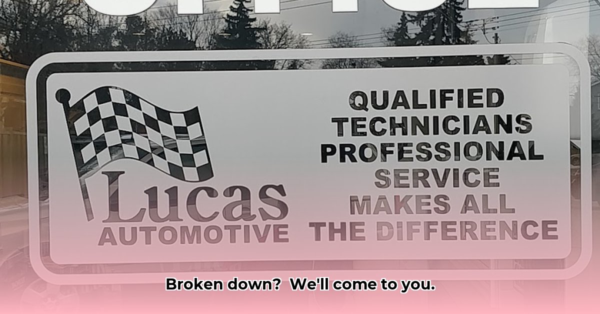 lucas-automotive-services
